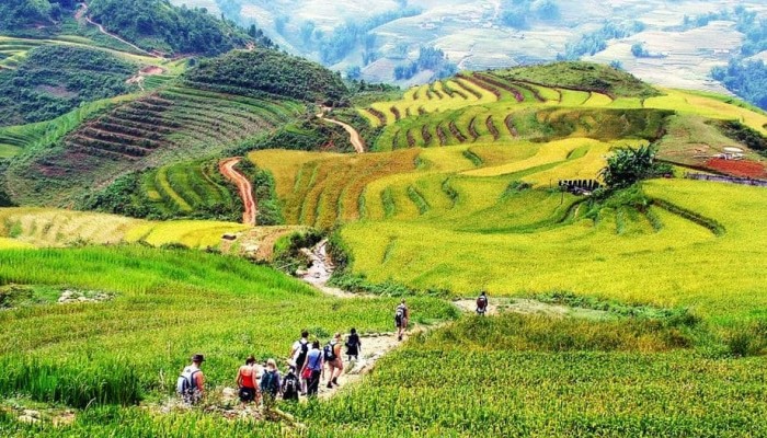 lao chai ta van